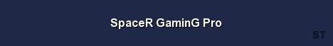 SpaceR GaminG Pro Server Banner
