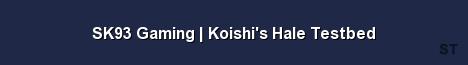 SK93 Gaming Koishi s Hale Testbed Server Banner