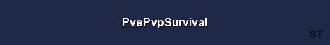 PvePvpSurvival Server Banner