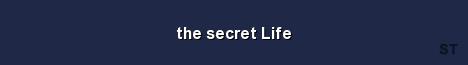 the secret Life Server Banner