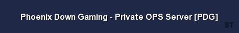 Phoenix Down Gaming Private OPS Server PDG Server Banner