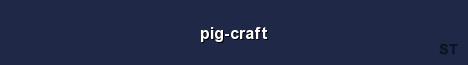 pig craft Server Banner