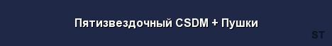 Пятизвездочный CSDM Пушки Server Banner