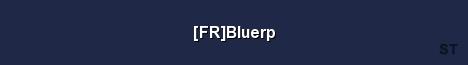 FR Bluerp Server Banner