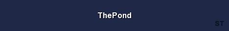 ThePond 