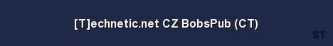 T echnetic net CZ BobsPub CT Server Banner
