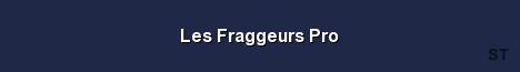 Les Fraggeurs Pro Server Banner