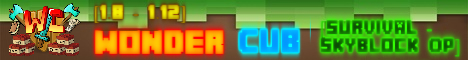 WonderCub Server Banner