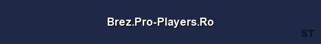 Brez Pro Players Ro Server Banner