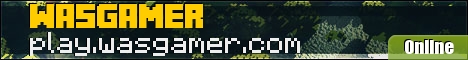 Wasgamer Server Banner