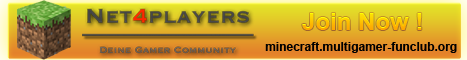 Net4Players Server Server Banner