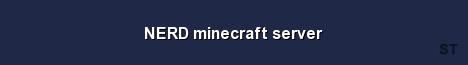 NERD minecraft server Server Banner