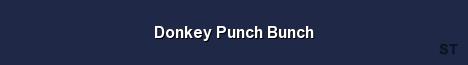 Donkey Punch Bunch Server Banner