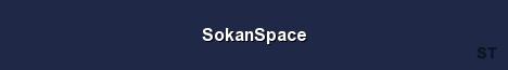SokanSpace Server Banner