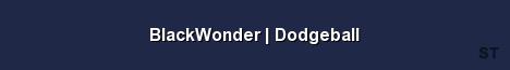 BlackWonder Dodgeball Server Banner