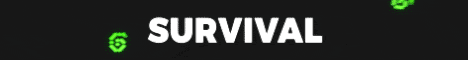 SpawnChunk Server Banner