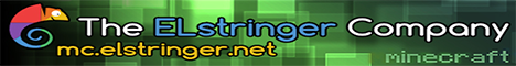 Elstringer company Server Banner
