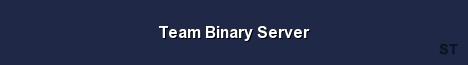 Team Binary Server Server Banner