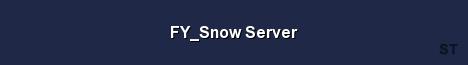 FY Snow Server Server Banner