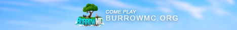 BurrowMC Server Banner