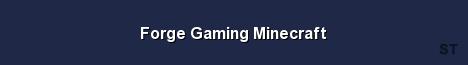 Forge Gaming Minecraft Server Banner