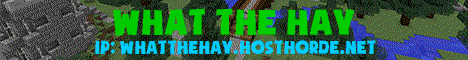 What The Hay Server Banner