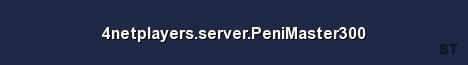 4netplayers server PeniMaster300 