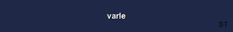 varle Server Banner