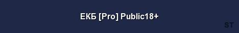 ЕКБ Pro Public18 Server Banner