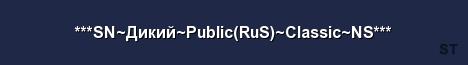 SN Дикий Public RuS Classic NS Server Banner