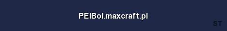 PEIBoi maxcraft pl Server Banner