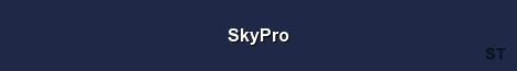 SkyPro Server Banner