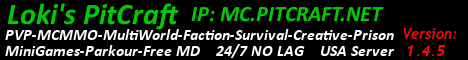 PitCraft Server Banner