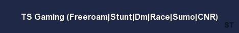 TS Gaming Freeroam Stunt Dm Race Sumo CNR Server Banner