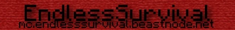 EndlessSurvival Server Banner