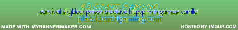 KB Craft Gaming Server Banner