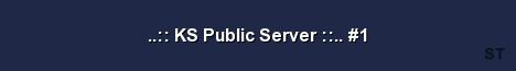 KS Public Server 1 Server Banner