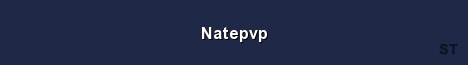 Natepvp Server Banner
