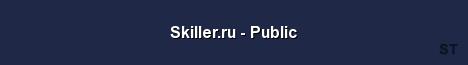 Skiller ru Public Server Banner