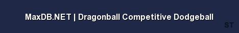 MaxDB NET Dragonball Competitive Dodgeball 