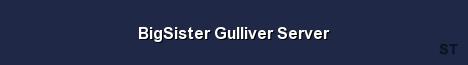 BigSister Gulliver Server 