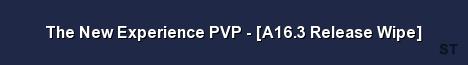 The New Experience PVP A16 3 Release Wipe Server Banner
